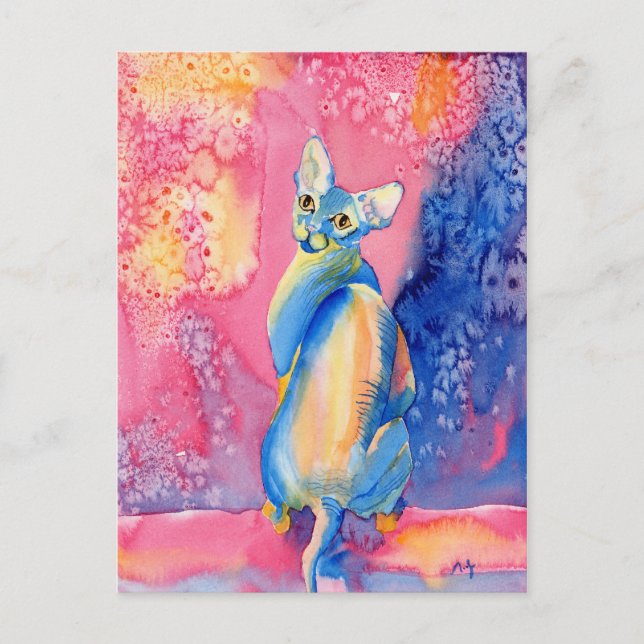 Sphynx Cat #2 Postcard (Front)