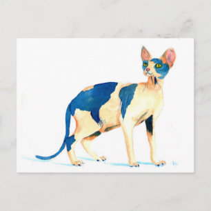Sphynx Cat 5 Postcard