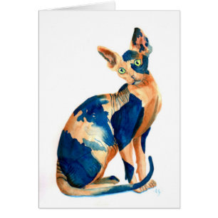 Sphynx Cat 6