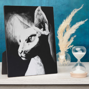 Sphynx Cat Black White Contrast Kitty Portrait Art Plaque