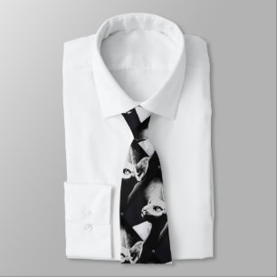 Sphynx Cat Black White Contrast Kitty Portrait Art Tie
