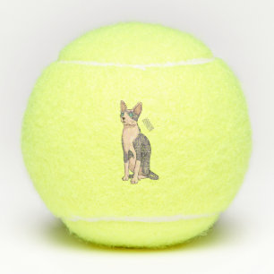 Sphynx cat cartoon illustration  tennis balls
