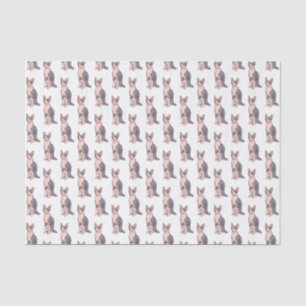 Sphynx cat cartoon illustration  tissue paper