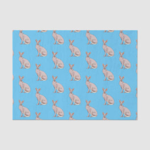 Sphynx cat cartoon illustration tissue paper
