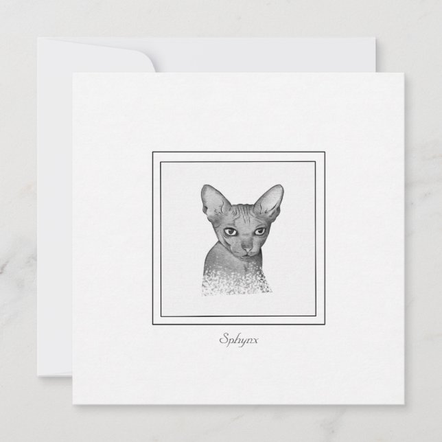 Sphynx Cat Chalk Drawing Note Card (Front)