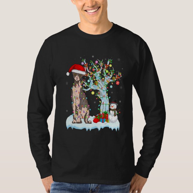 Sphynx Cat Christmas Light Santas Hat Snowman Matc T-Shirt (Front)