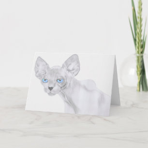 Sphynx Cat Greeting Card