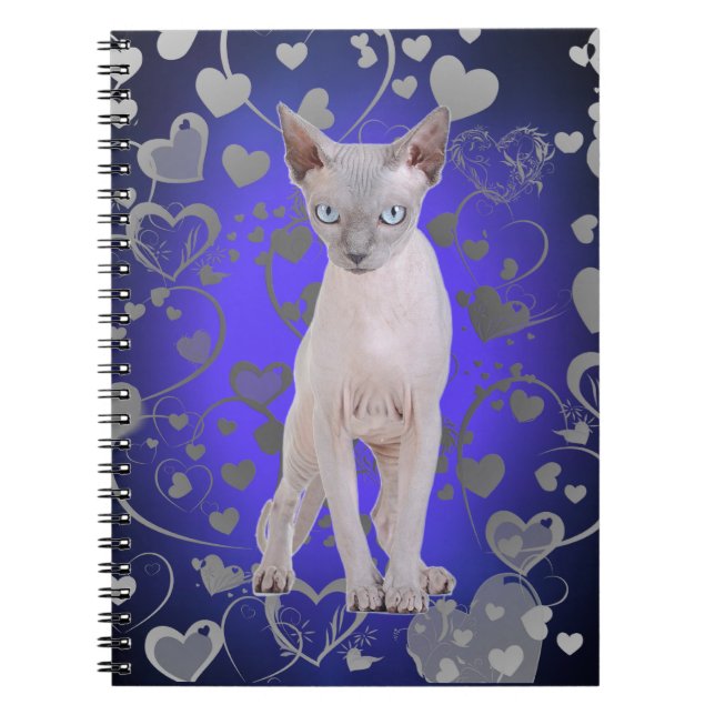 Sphynx cat notebook (Front)