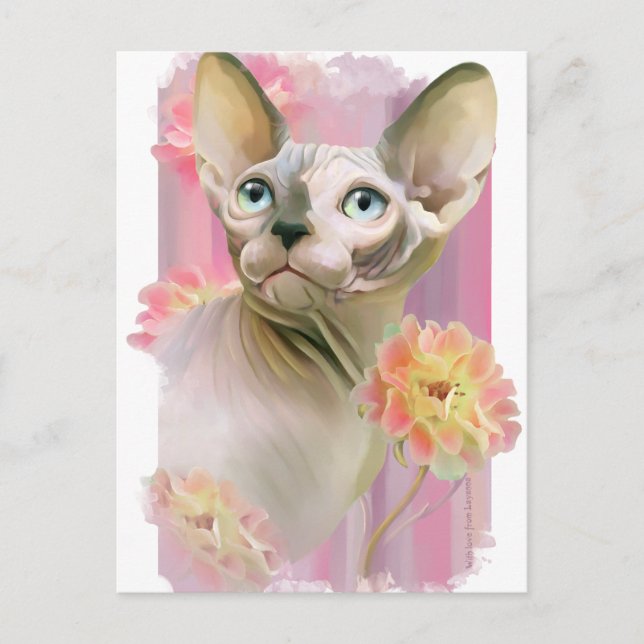 Sphynx Cat Postcard (Front)