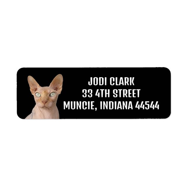SPHYNX CAT RETURN ADDRESS LABELS (Front)