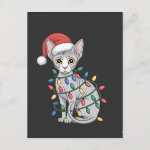 Sphynx Cat Wearing a Santa Hat and Wrapped in Xmas Postcard