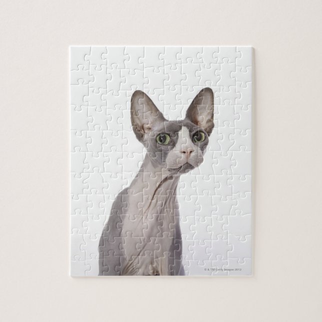 Sphynx Cat with surprised expression Jigsaw Puzzle (Vertical)