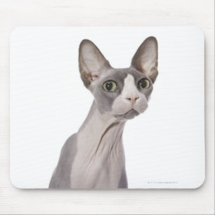 Sphynx Cat with surprised expression Mouse Pad