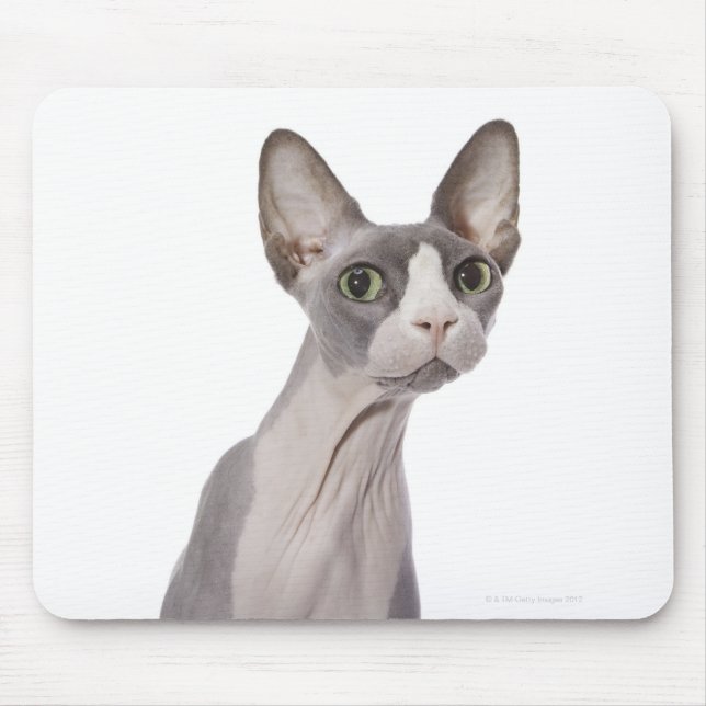 Sphynx Cat with surprised expression Mouse Pad (Front)
