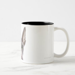 Sphynx Cat with tongue out Two-Tone Coffee Mug