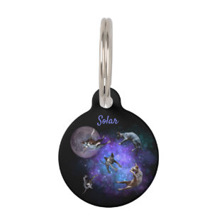 Sphynx Cats in Space Floating Kittens Pet Tag