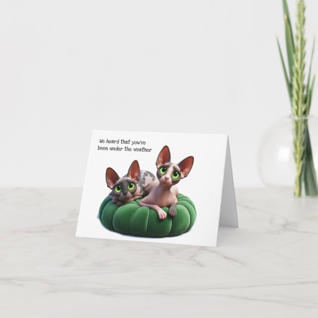 Sphynx Cheer Up Greeting Card (Front)