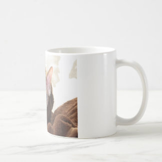 Sphynx Coffee Mug