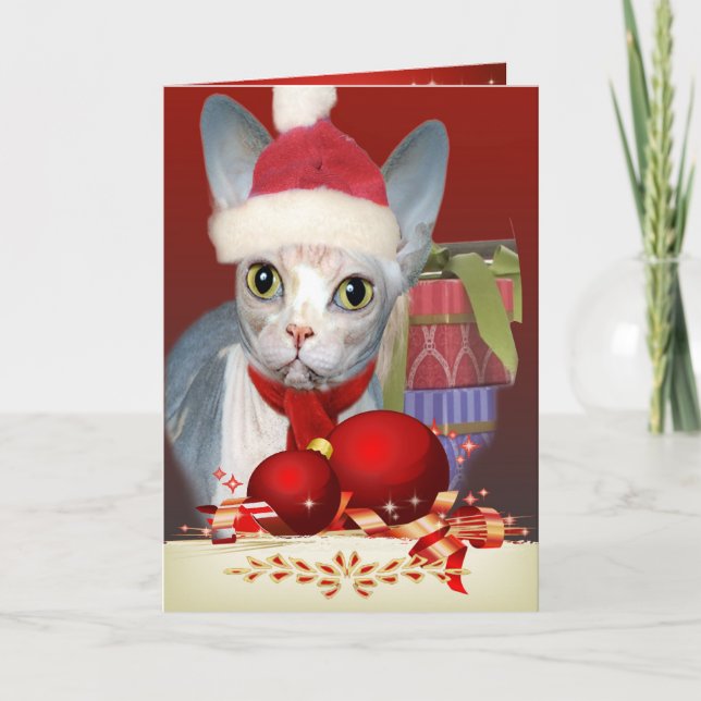 Sphynx Kitten Christmas card (Front)