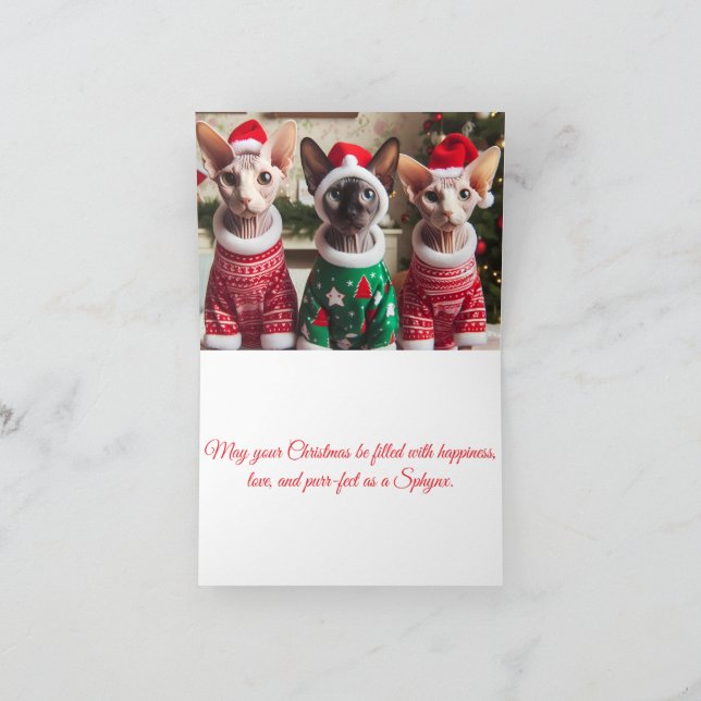 Sphynx Kitten Christmas Holiday Card (Inside)