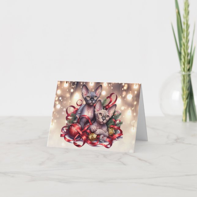 Sphynx Kittens Christmas Card (Front)