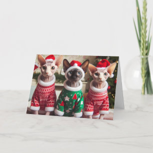 Sphynx Kittens Christmas Card