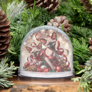 Sphynx Kittens Christmas Snowglobe