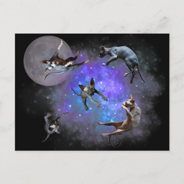 Sphynx Kittens Postcard Cats Floating Space Galaxy (Front)