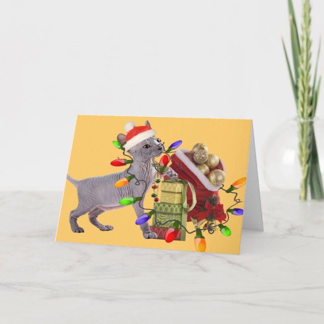 Sphynx Merry Christmas Cards (Front)