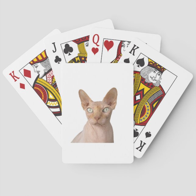 sphynx playing cards (Back)