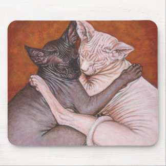 Sphynx Sphinx Cat Cats Nap Time Mouse Pad