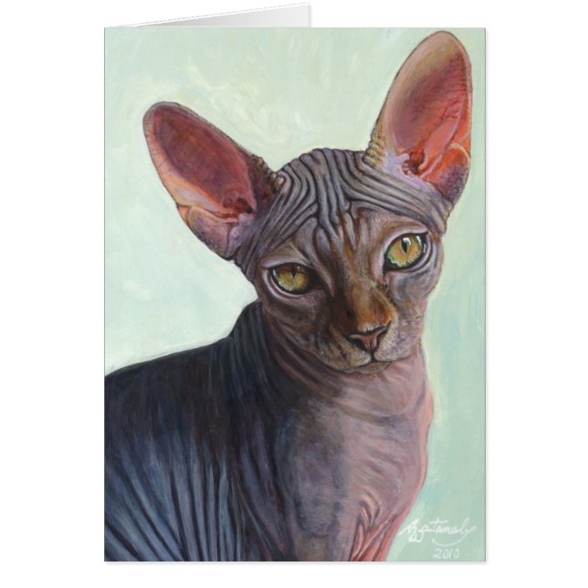 Sphynx Sphinx Cat Cats Sunitha (Front)