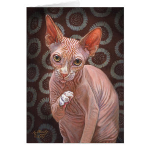 Sphynx Sphinx Cat Jack