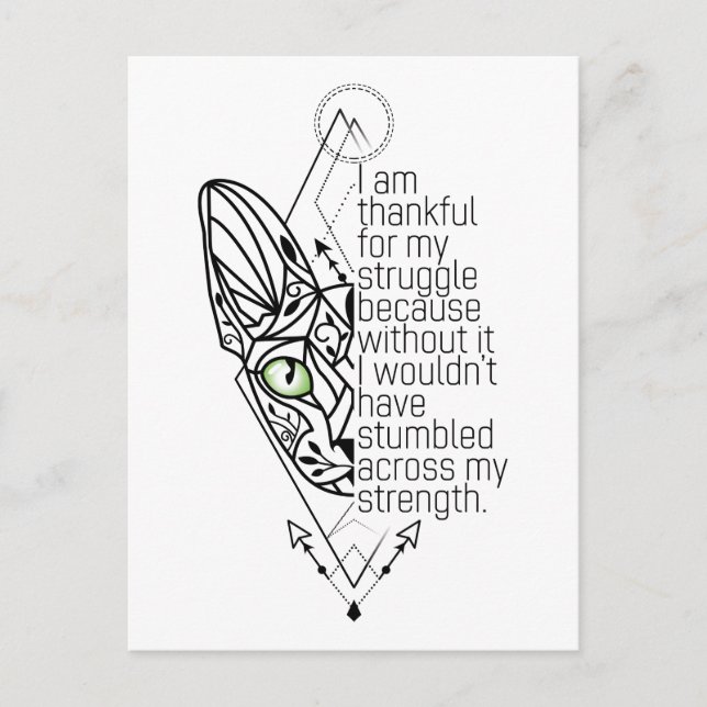 😻Sphynx with wisdom  Postcard (Front)