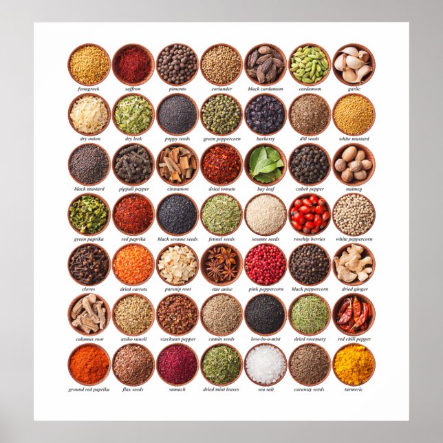 Spice Chart Poster - SRF (Front)
