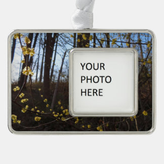Spicebush Flowers in Spring Silver Plated Framed Ornament
