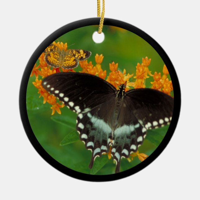 Spicebush Swallowtail Butterfly Ceramic Tree Decoration (Front)
