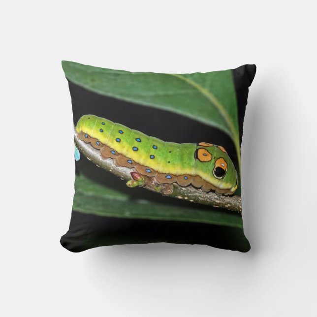 Spicebush Swallowtail Caterpillar Throw Pillow (Front)