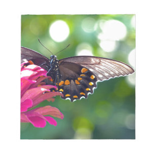 Spicebush Swallowtail Notepad