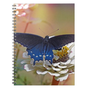 Spicebush Swallowtail Spiral Notebook