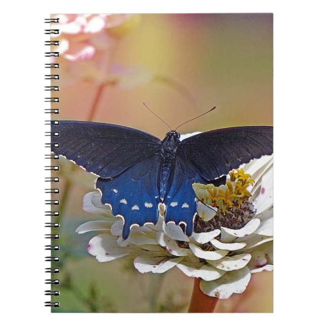 Spicebush Swallowtail Spiral Notebook (Front)