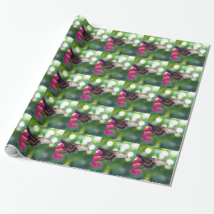 Spicebush Swallowtail Wrapping Paper