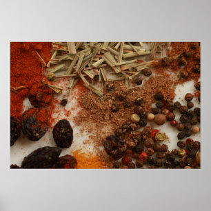 Spices and Condiments Poster