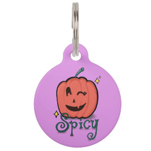 Spicy Pumpkin Spice Pet Tag