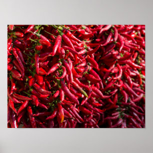 Spicy Red Chilli In The Town Of Kalocsa Poster