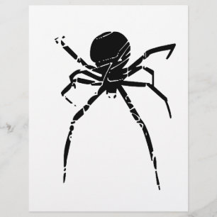 Spider