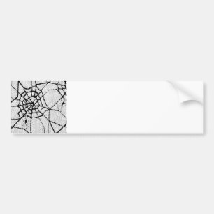 spider 1 bumper sticker