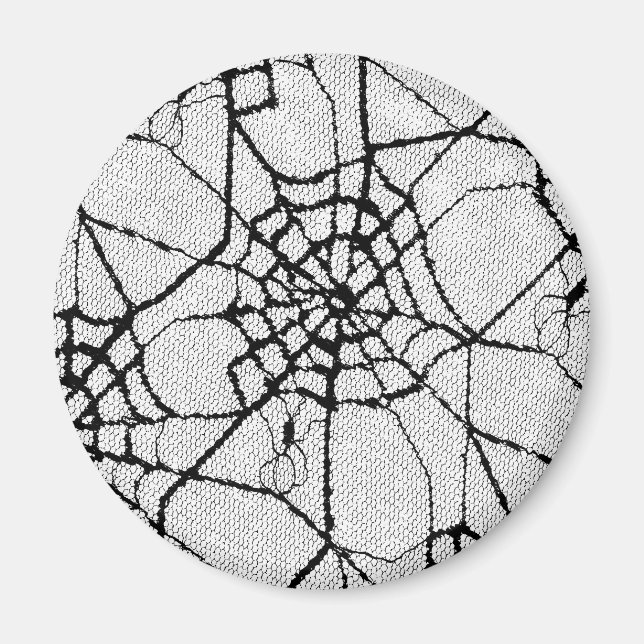 spider 1 magnet (Front)