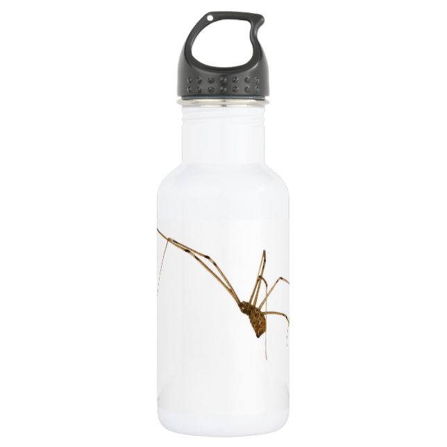 Spider 532 Ml Water Bottle (Front)