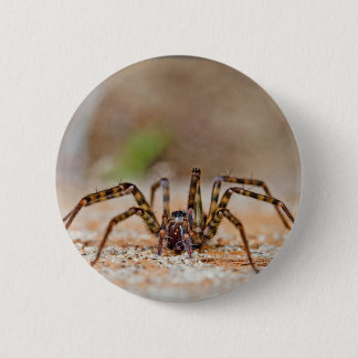 spider a 6 cm round badge